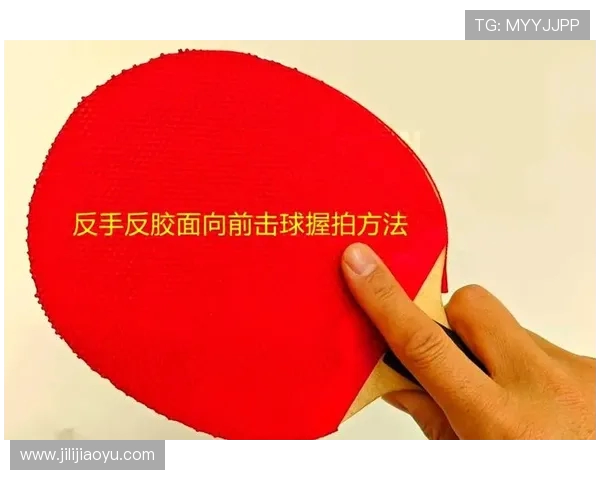 乒乓球技术提升与战术分析：从基础到高级技巧的全面解析