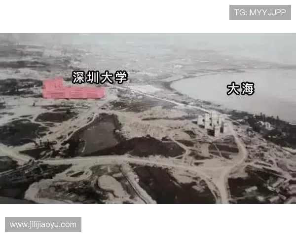 深圳羽毛球队转型之路揭秘:从传统强队到现代化竞技新标杆 深圳羽毛球队转型之路揭秘:从传统强队到现代化竞技新标杆